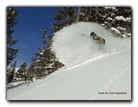 Ski Jackson Hole