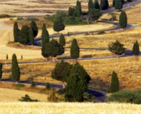 Umbrian